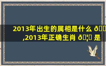 2013年出生的属相是什么 🌴 ,2013年正确生肖 🦁 是龙还是蛇
